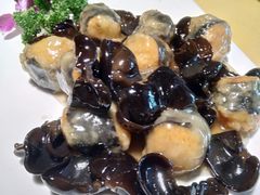 -素虎小呆鸟(西二旗店)