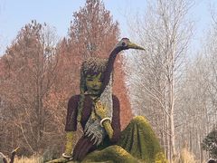 -盐城丹顶鹤湿地生态旅游区