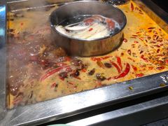 -蜀江龙火锅(339店)