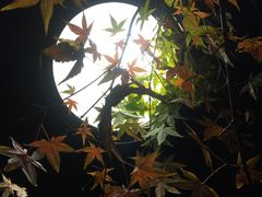 -田园东方蜜桃村的田野营地
