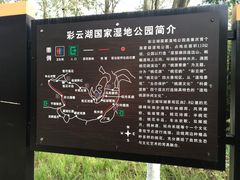 -重庆彩云湖湿地公园