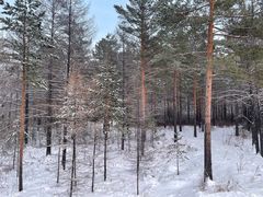 -北极村旅游风景区