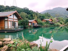 -杭州开元森泊度假乐园