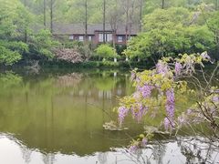 -八卦田遗址公园