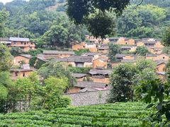 -杨家堂村