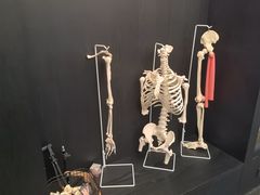 -TOP健身私教工作室(侨香店)