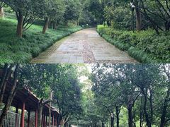 -杭州少年儿童公园