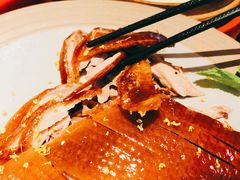桂花香烤鸭-青年公社烤鸭(宝杨宝龙广场店)