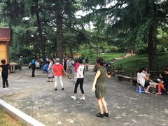 -西苑公园