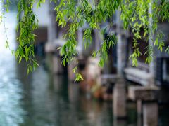 -乌镇东栅景区