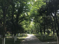 -上海鲜花港