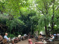 -Fern Forest Cafe