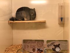 -龙猫仔乐园(惠福东路店)