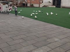 -华谊兄弟（长沙）电影小镇