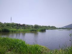 -长广溪湿地公园