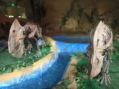 -诸城市恐龙博物馆