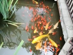 -聚缘堂·海鲜私房菜(松岭路店)