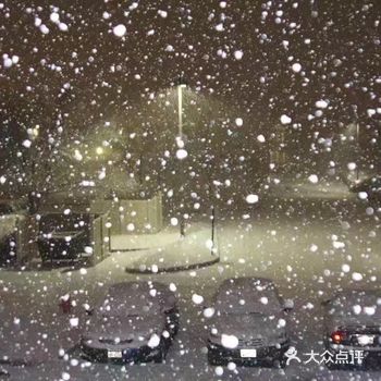 差点撞到路桩，赶紧回家，不敢出门了