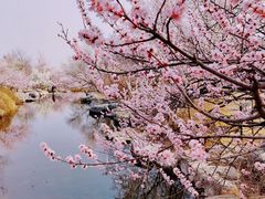 -国家植物园