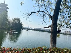 -洋湖国家湿地公园