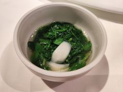 鸡汤豆苗-西郊5号·Maggie 5