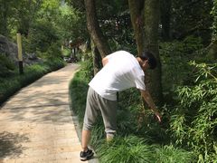 -逸廊大堂吧-下午茶·简餐-千岛湖自由洲际殿