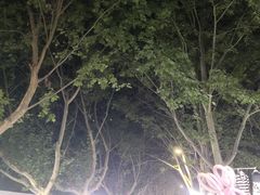 -健康路夜市