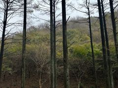 -四明山国家森林公园