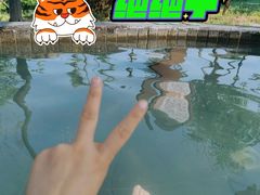 -青岛海泉湾度假区温泉