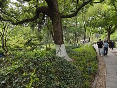 -西湖天地