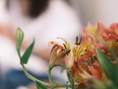 -艾蜜西餐厅(梅园店)