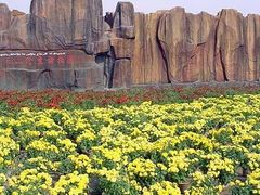 -新疆天山野生动物园