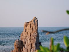 -临高角旅游区