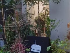 -花十悦·鲜花咖啡餐厅(振业城一期店)