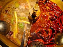 -小龙翻大江文化火锅(宽窄店)