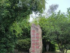 -杏花村文化旅游区