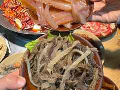 -阳阳老火锅(小南门店)