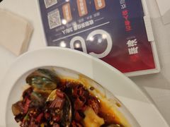 -开海·红岛海鲜虾水饺(石老人店)
