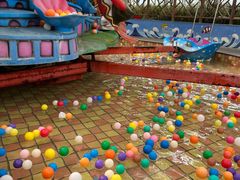 -南宫五洲植物乐园