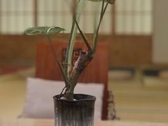 -汤泉良子·沐足·颂钵疗愈·SPA(珠江新城店)