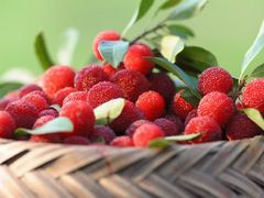 -艾溪湖湿地公园