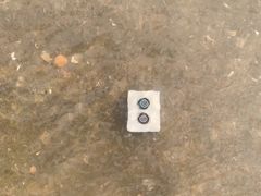 -万尾金滩