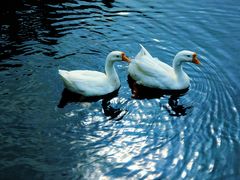 -西安汉城湖景区