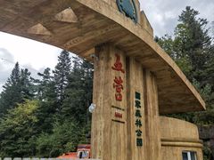 -五营红松林海景区