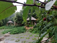 -元大都城垣遗址公园