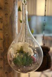 -青青一生美皮肤管理