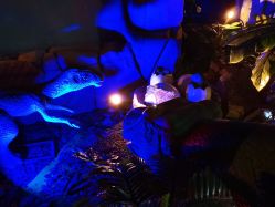 -恐龙探索乐园(磁器口店)