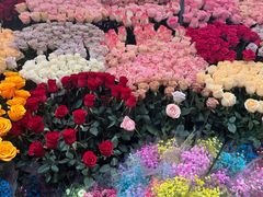 -越秀西湖花市(广州城市广场花卉店)