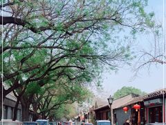 -北京国子监胡同