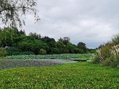 -三圣花乡旅游区